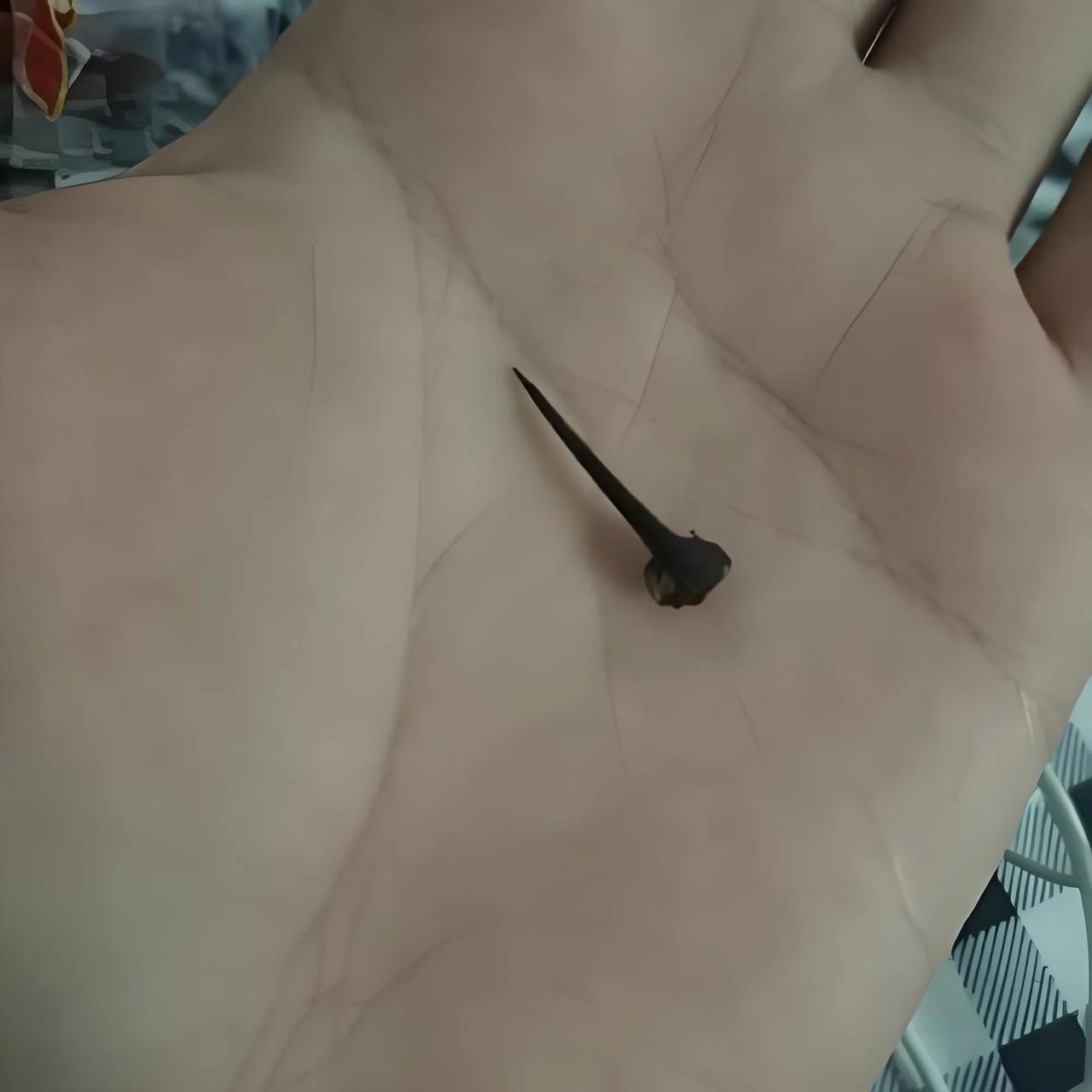 有时做好事也会变坏事，我给同事买了份红枣八宝粥，同事喝的时候发现粥里有根小刺。想