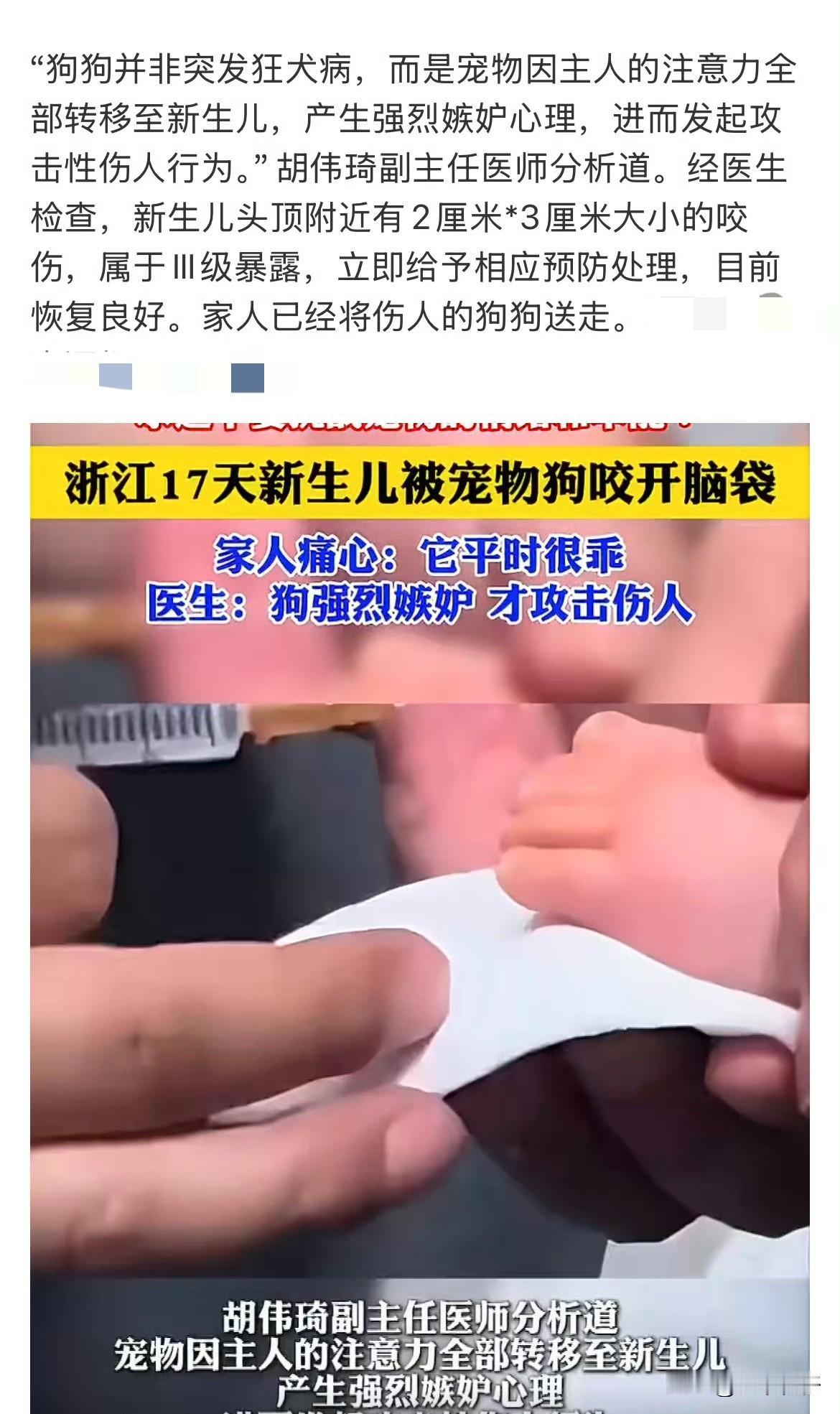 17天宝宝头部遭自家温顺家犬重度咬伤！医生辟谣：并非狂犬，伤人根源是宠物争宠嫉妒