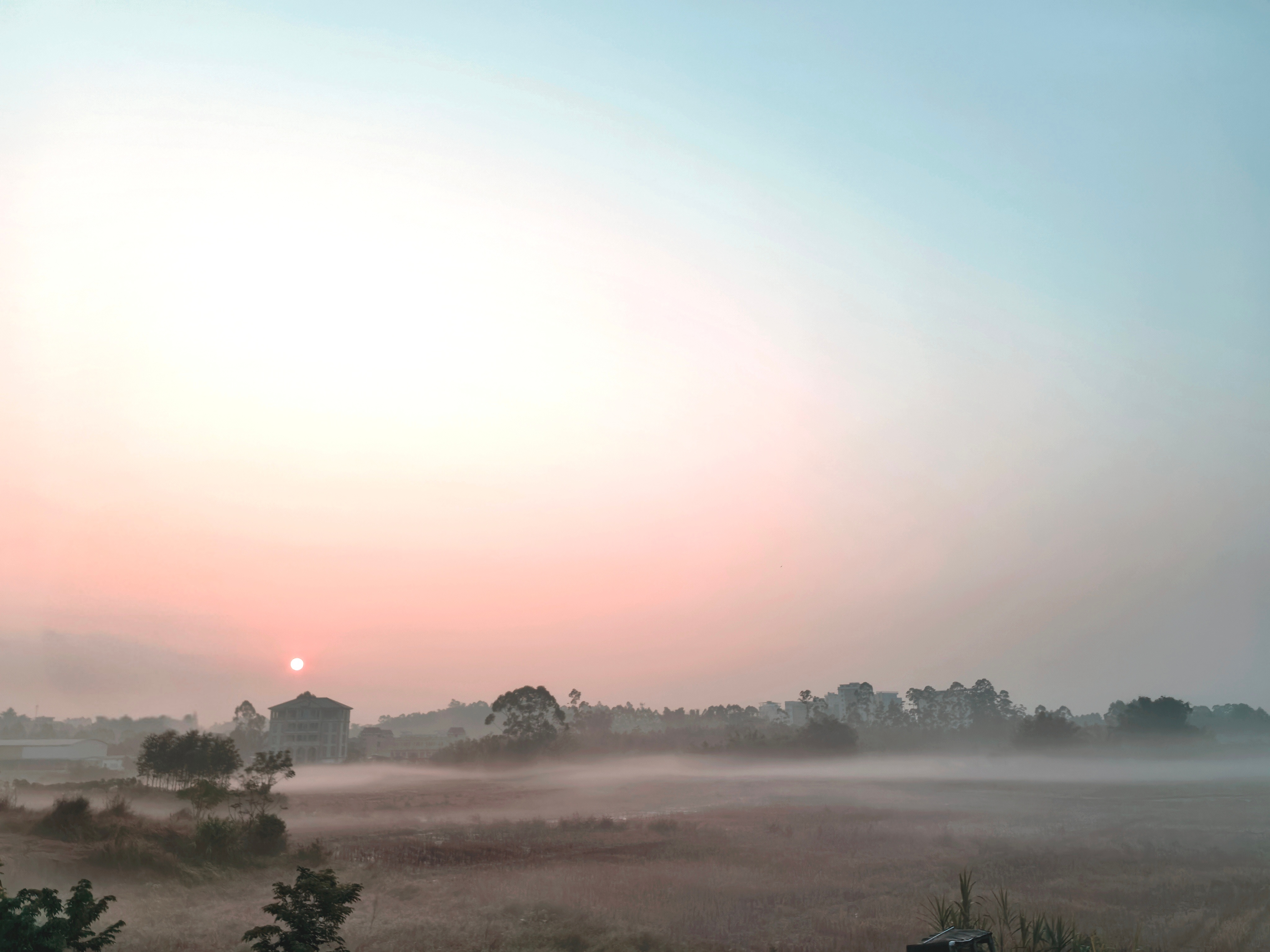 生活手记早ﾉ☀给你们看看我家门口的