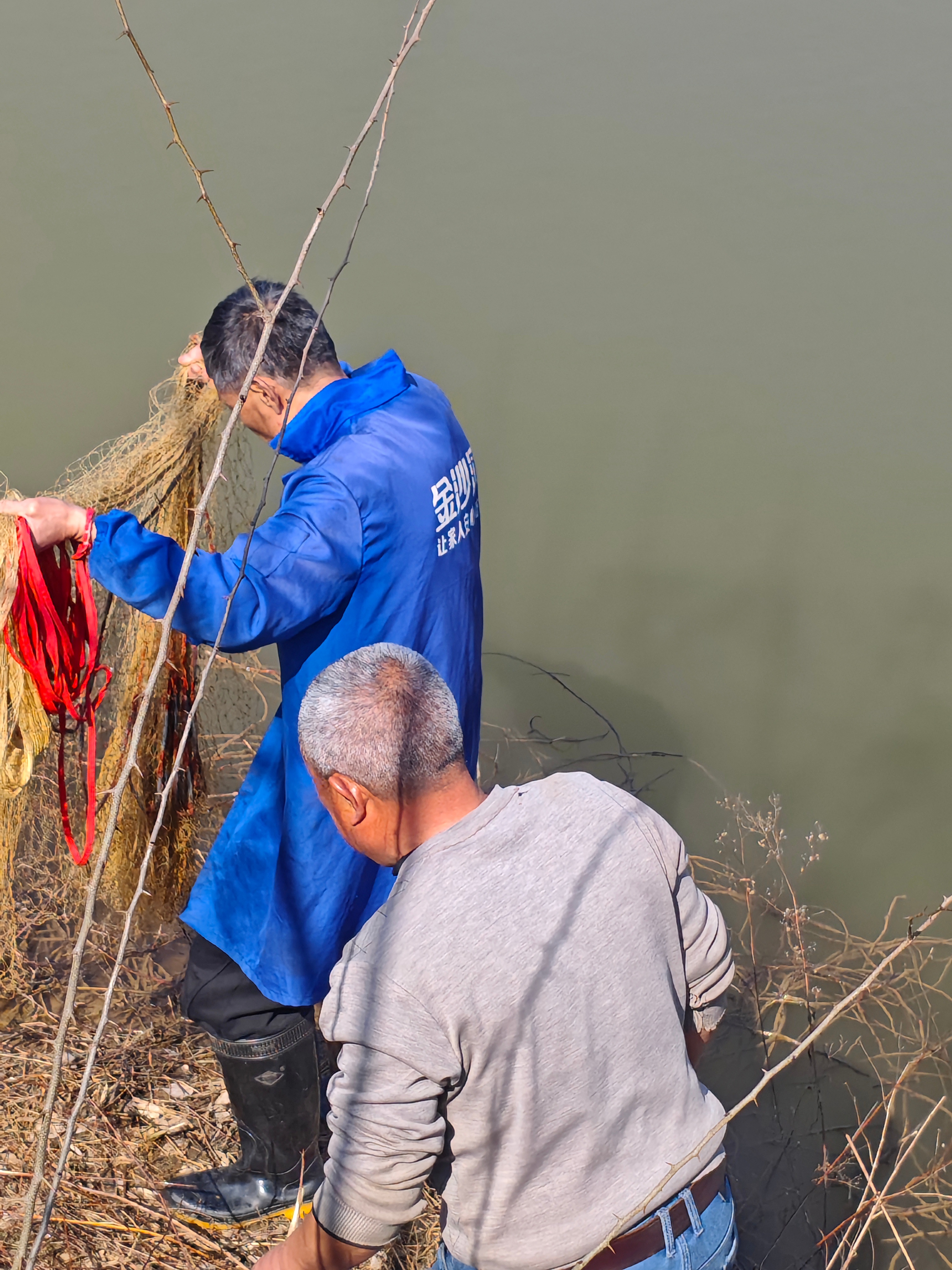 来舅舅家玩，撒网打鱼了!中了一条鲢子! 安陆·九冲村