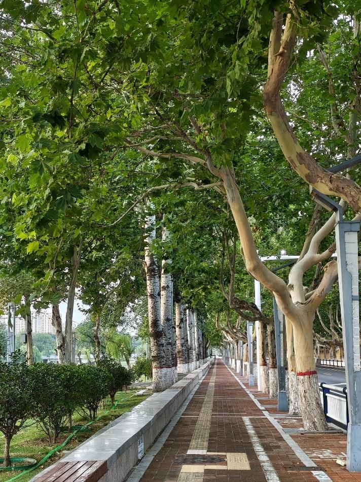 大家之所以热爱足球，欣赏的是竞技比赛带来的乐趣，若是场上全是机器人，那还有啥看头