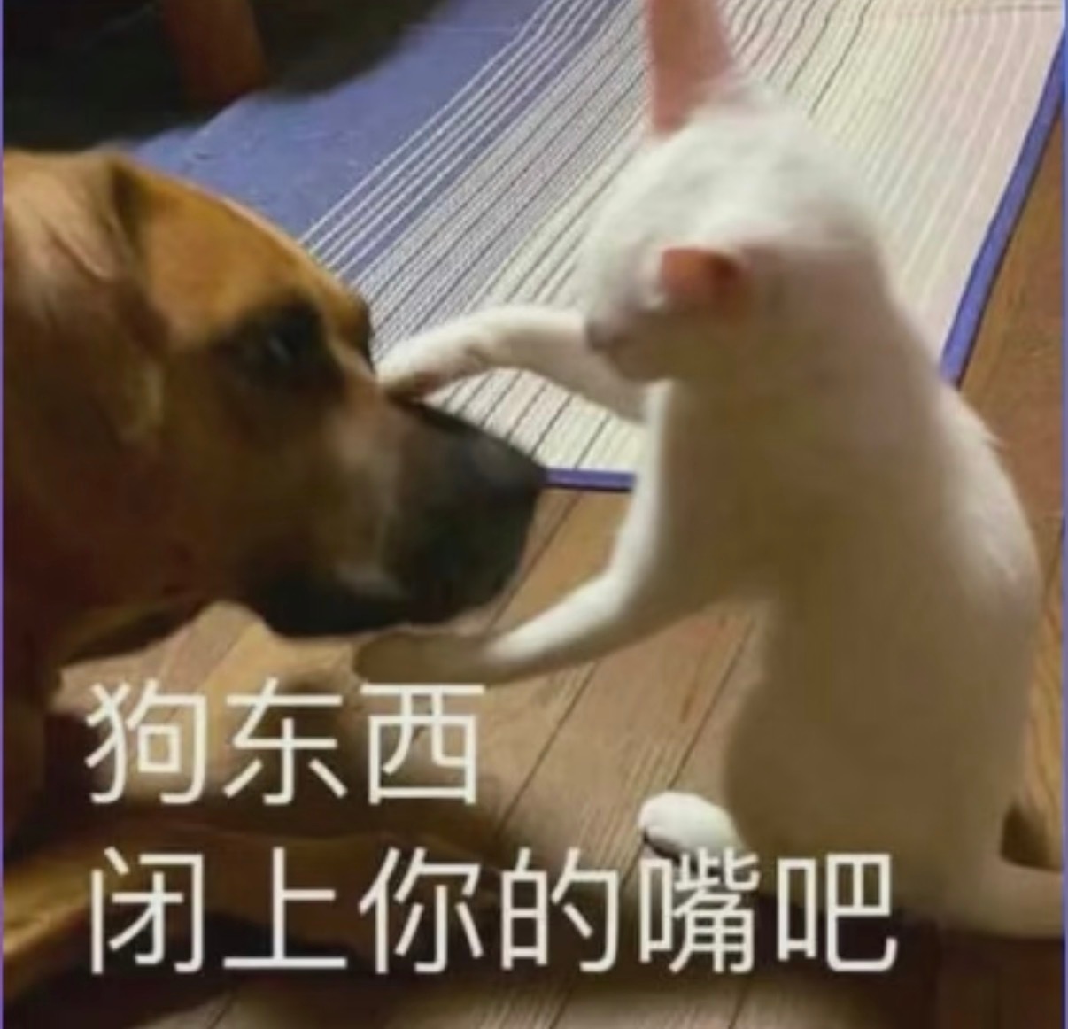 夸夸后援会的时间规划，中午通知、下午预热。差点三点杂志官博抢先一步直接通知到粉丝