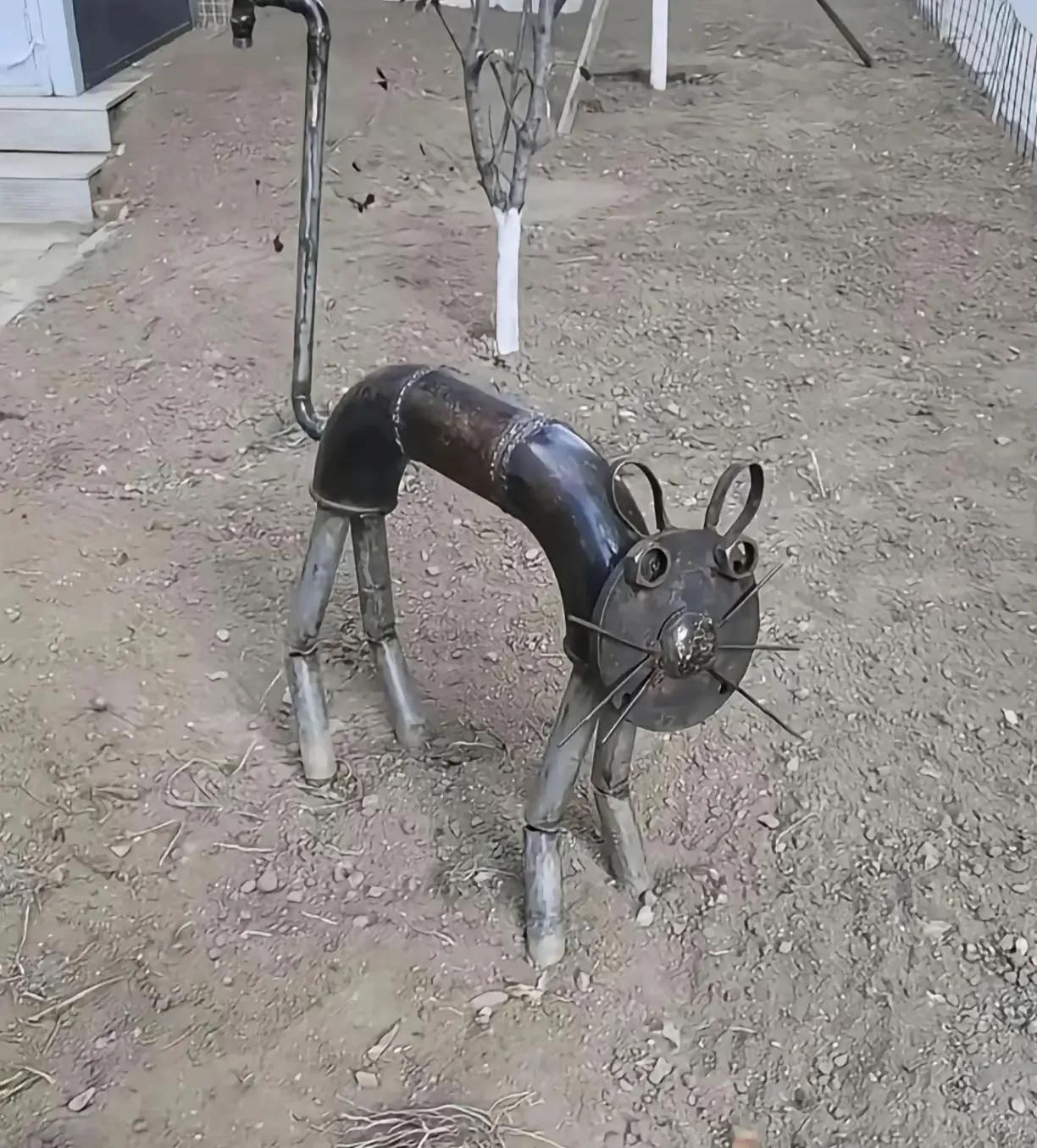 养这只猫需要注意什么？