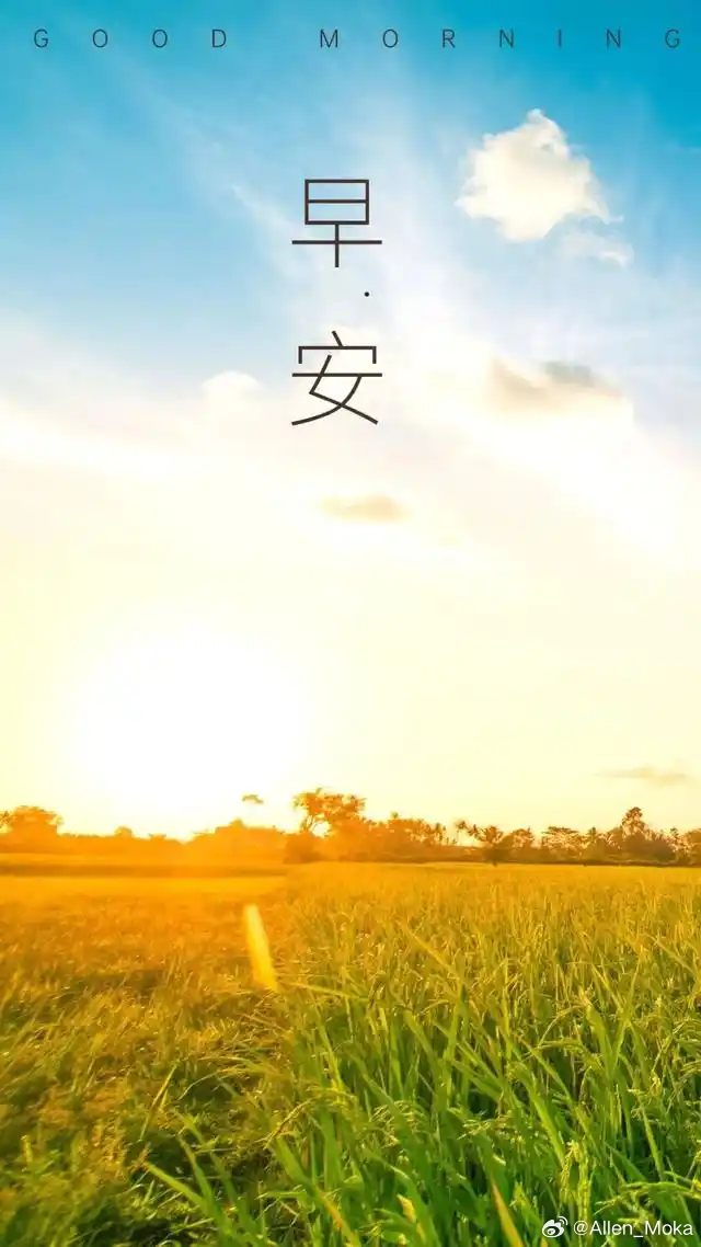 早安 芒种晨光铺遍原野，风拂青苗，带着收获与播种的希望。新的清晨，心怀暖意，步履