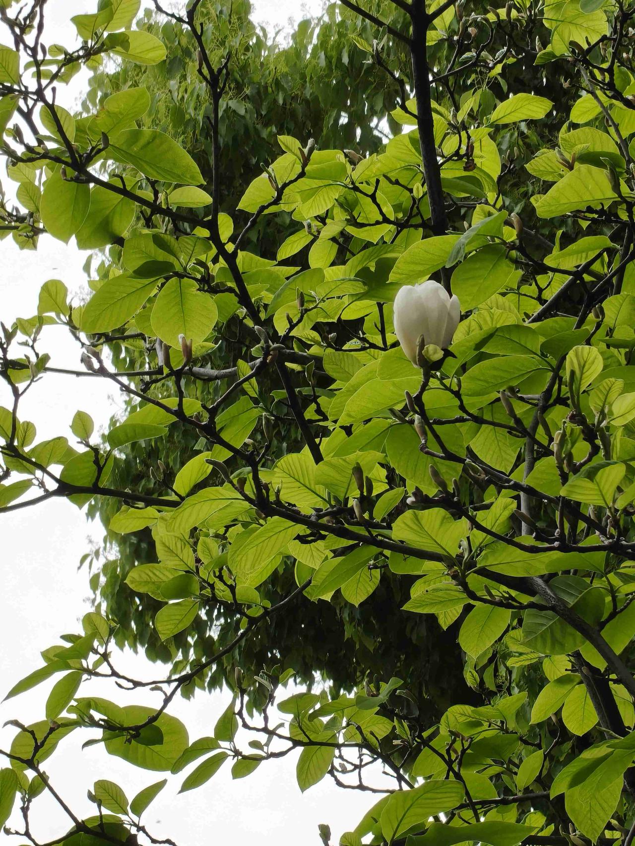 我的今日状态：💰期待暴富
我这里的天气：🌤️多云