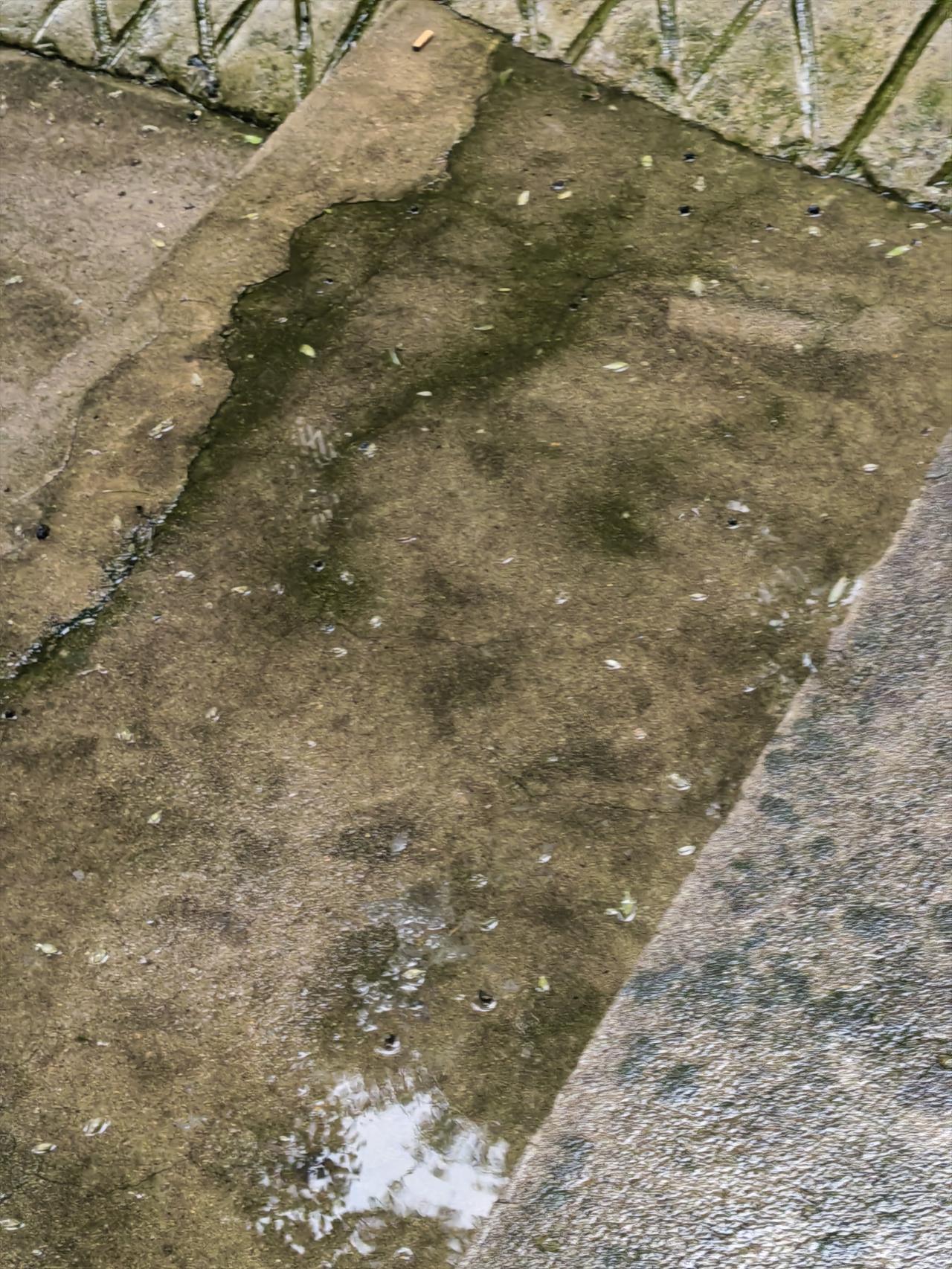 这几天一直都下雨，同事也连续两天迟到，刚刚经理又收到她发来的短信，说是车子追尾了