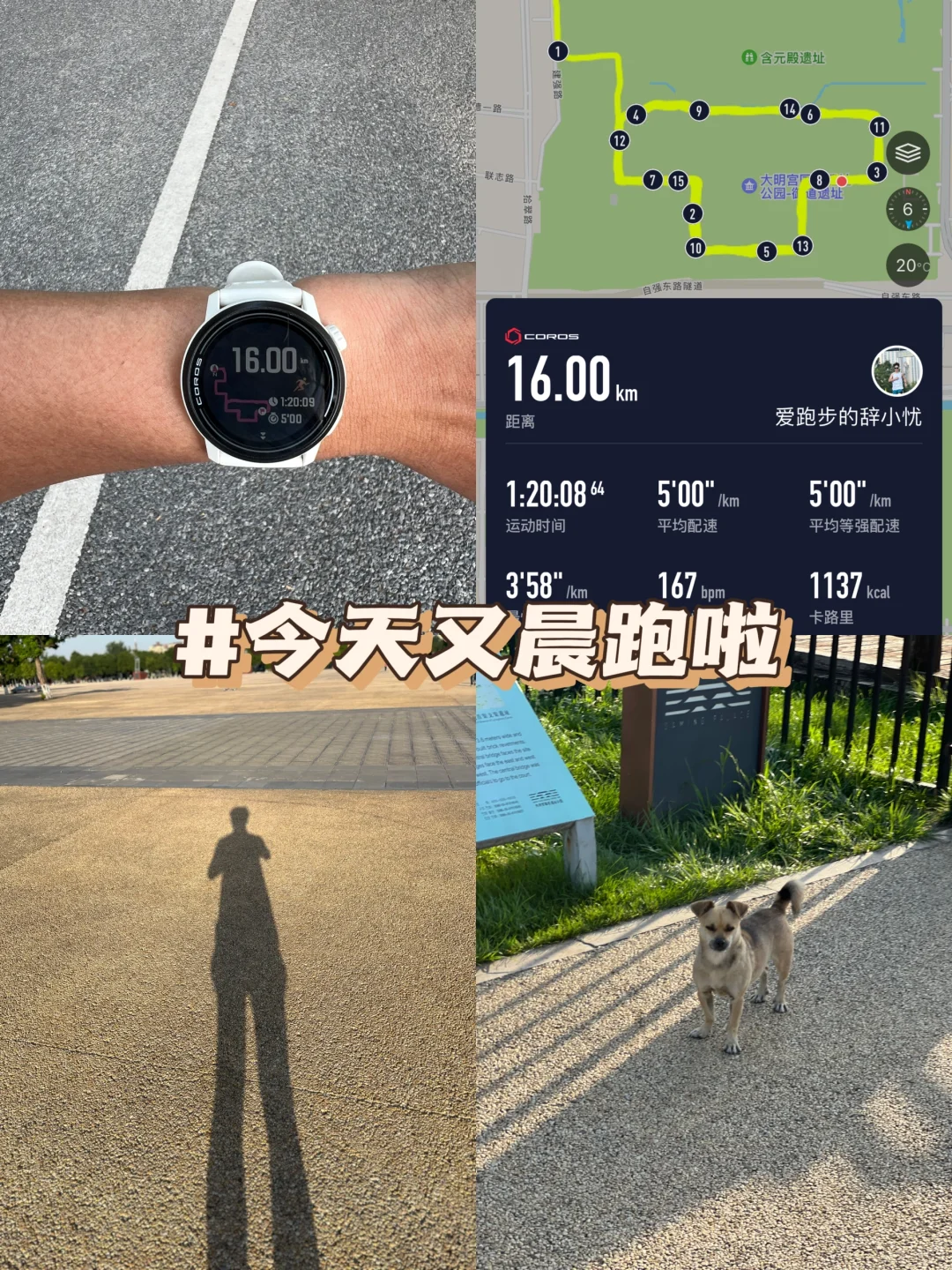 今天又晨跑了～打卡16KM