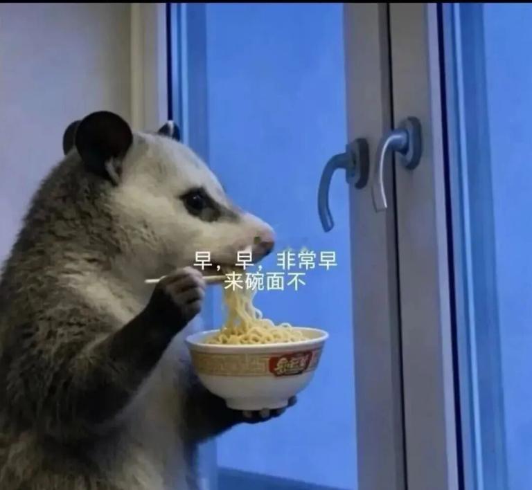 早☀️ 