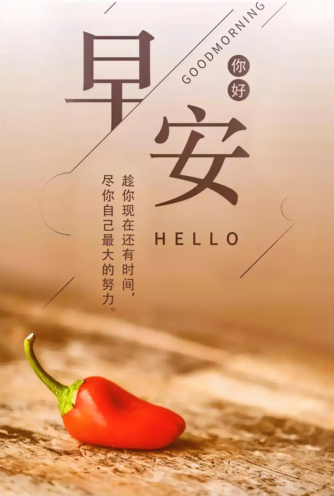 借漫天晨光，许一世安稳喜乐。
分享早安问候图片 
早安祝福语分享