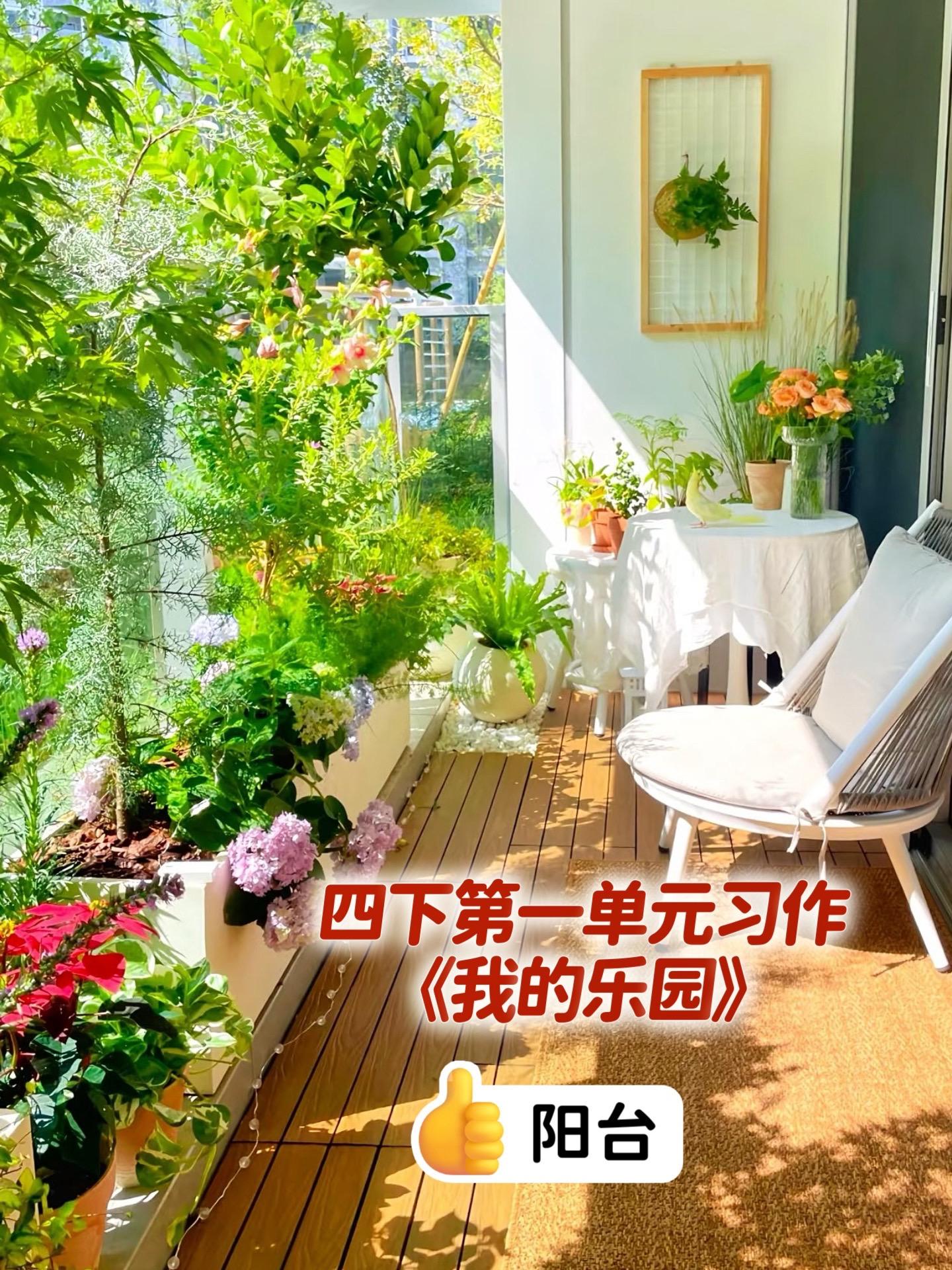 《我的乐园》——阳台。小学四年级下册第一单元习作《我的乐园》，同步优秀...