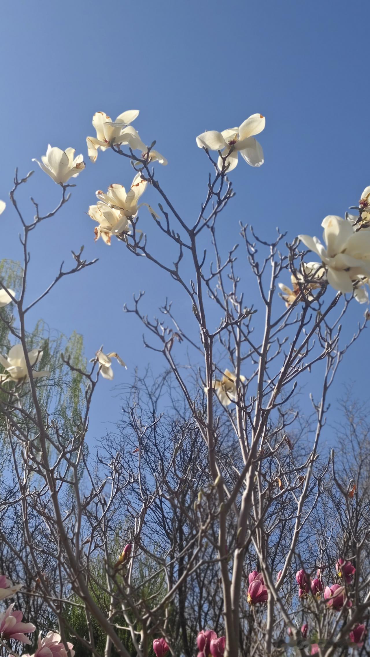 这是我听到了一个男人最真实的心理话。他说:男人要是有条件，都想外面养个情人，是男