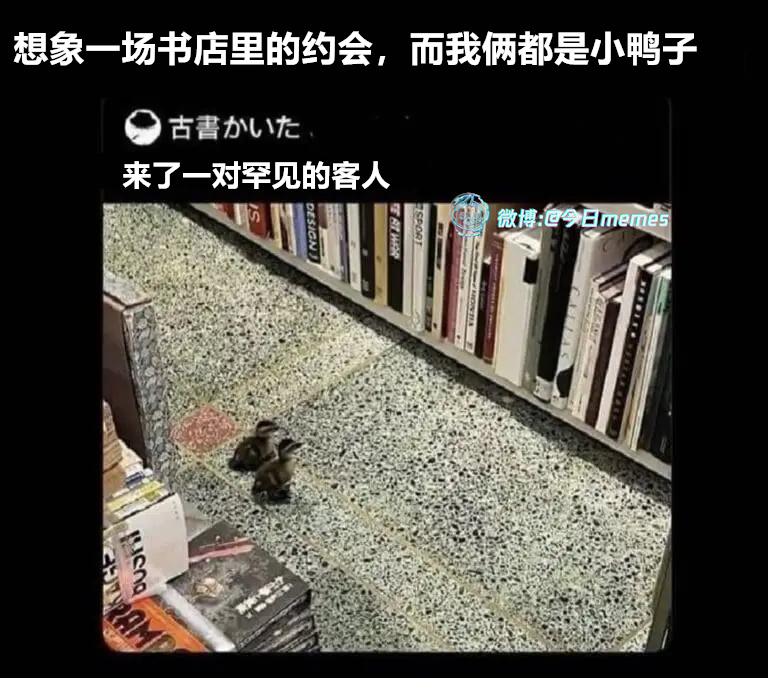 你选一本（9gag）哎呀