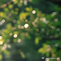 每日一善 心有微光，步步皆向远方。 