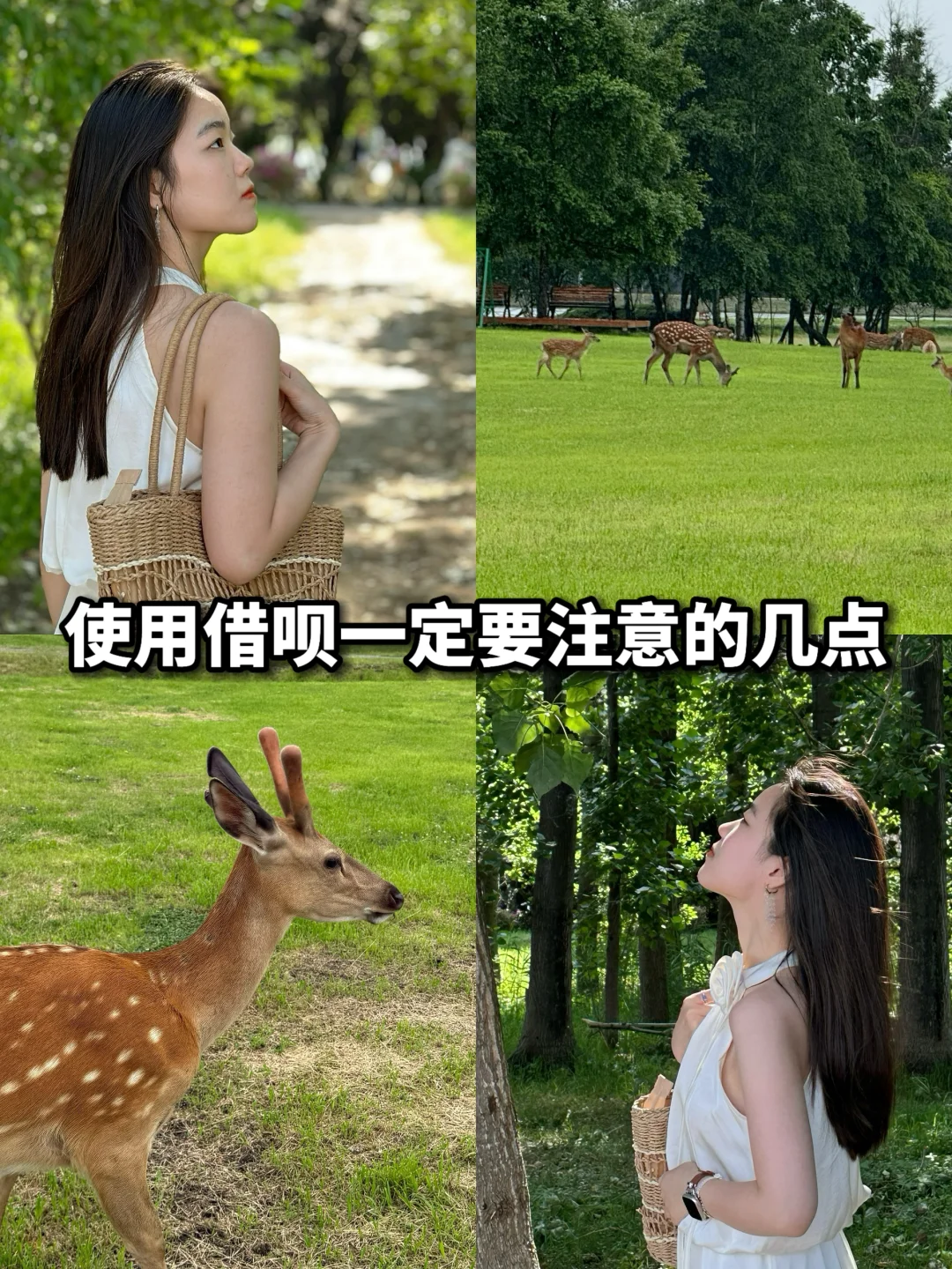 《使用借呗一定要注意的几点》
