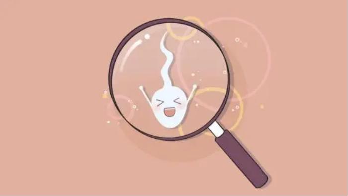 你知道吗？如果男性精子长期不排出体外，就会被免疫细胞吸收
 
很多人听到这句话，