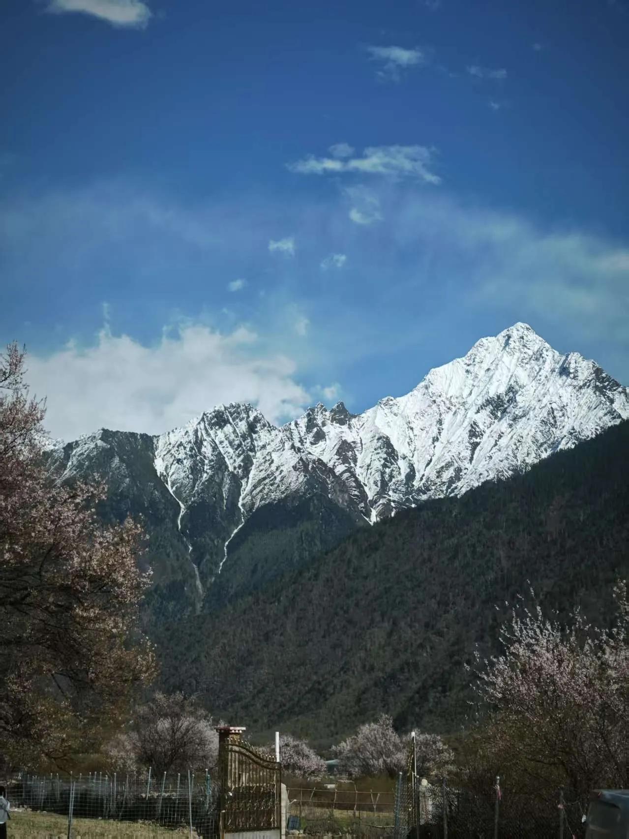 静美人帅[爱慕]
从拉萨到林芝之路～[加油]
满满的，都是风景[皱眉]
