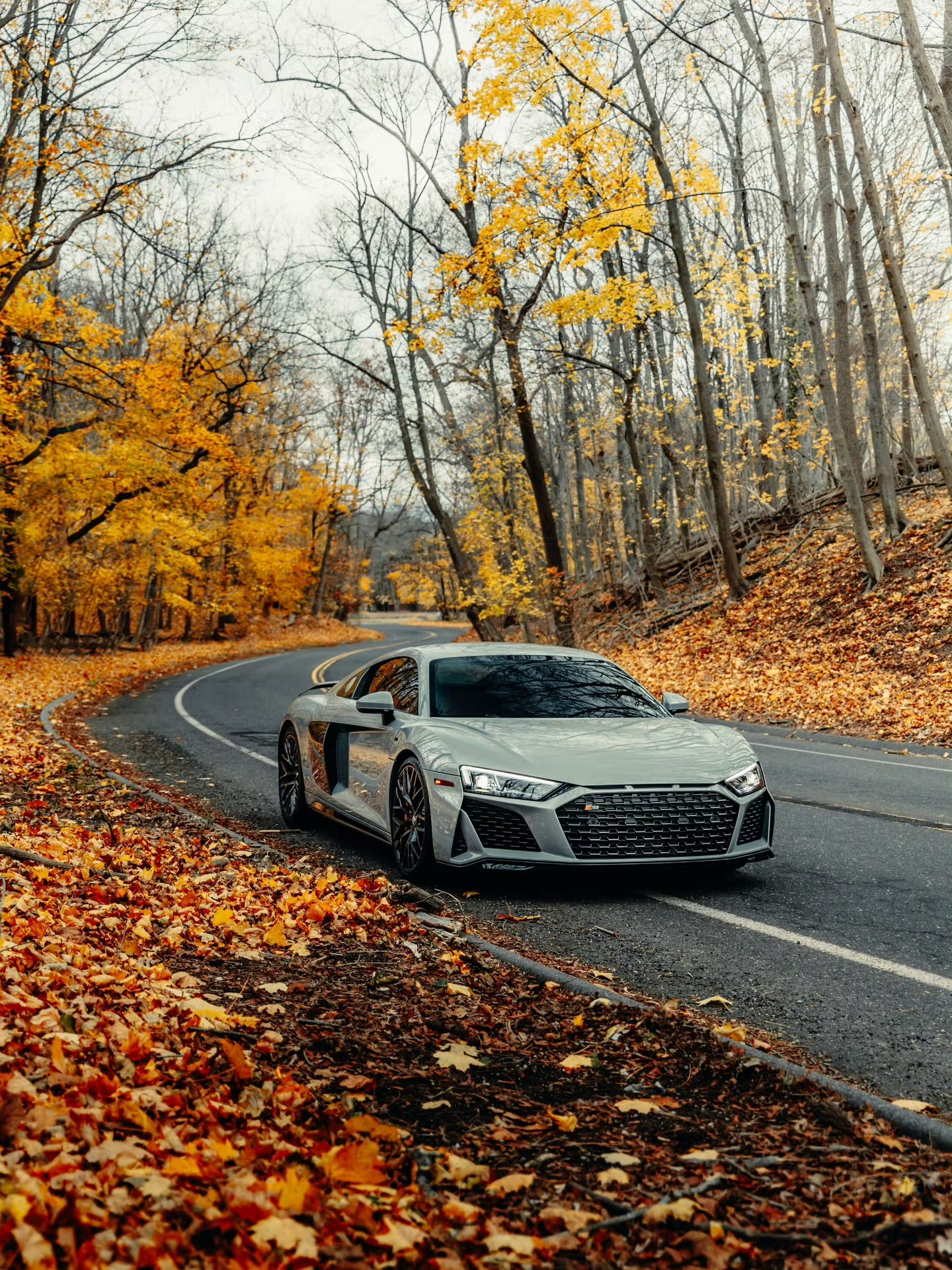 奥迪 R8 V10 Performance 
