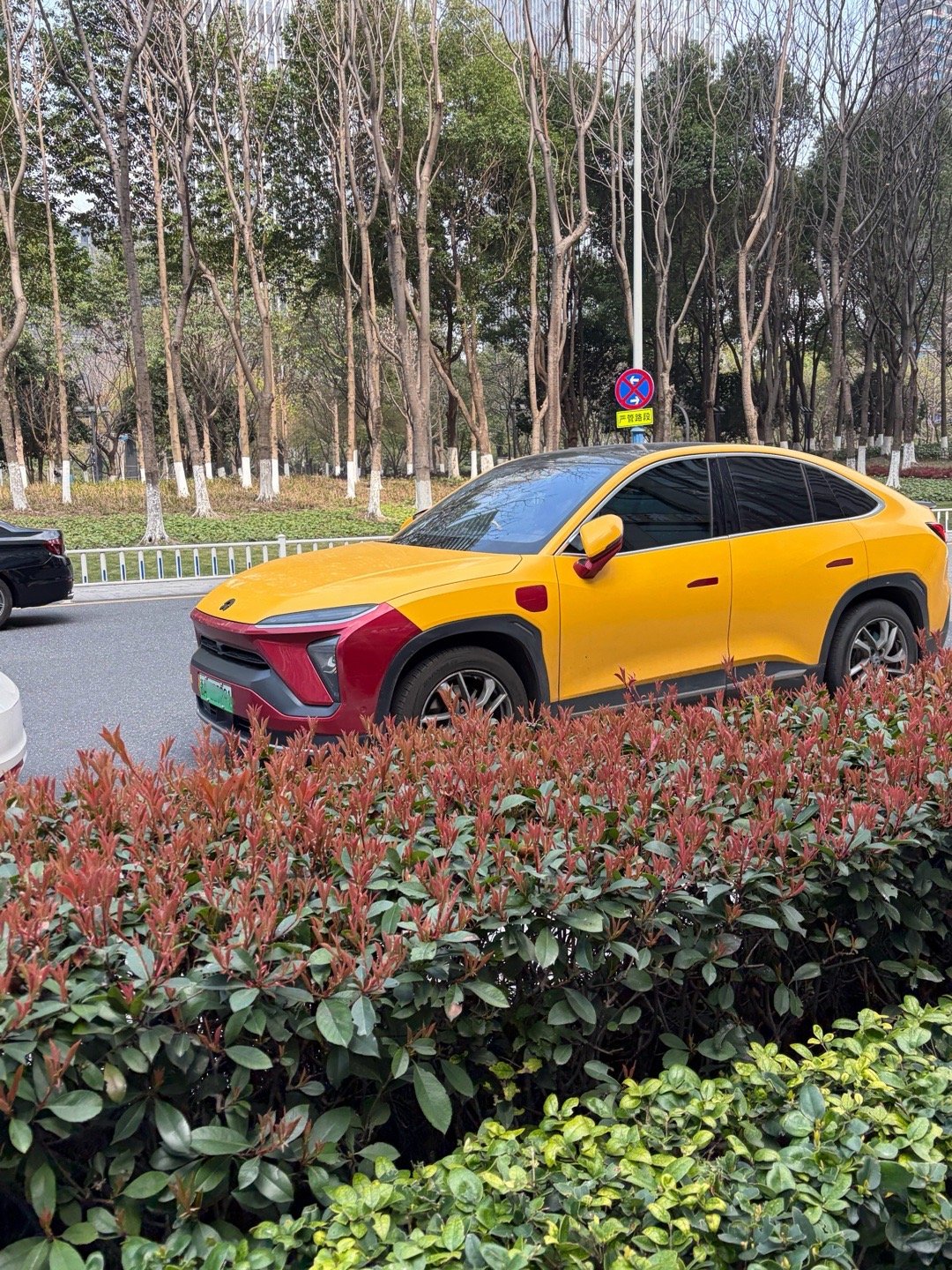 皮卡丘？钢铁侠？乍一看还挺像大牛的撞色拼配yyds 