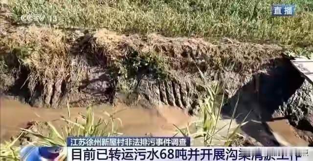 🌊 央视曝光徐州贾汪区农谷大道12公里边沟黑臭水体，COD、氨氮超标70倍。村