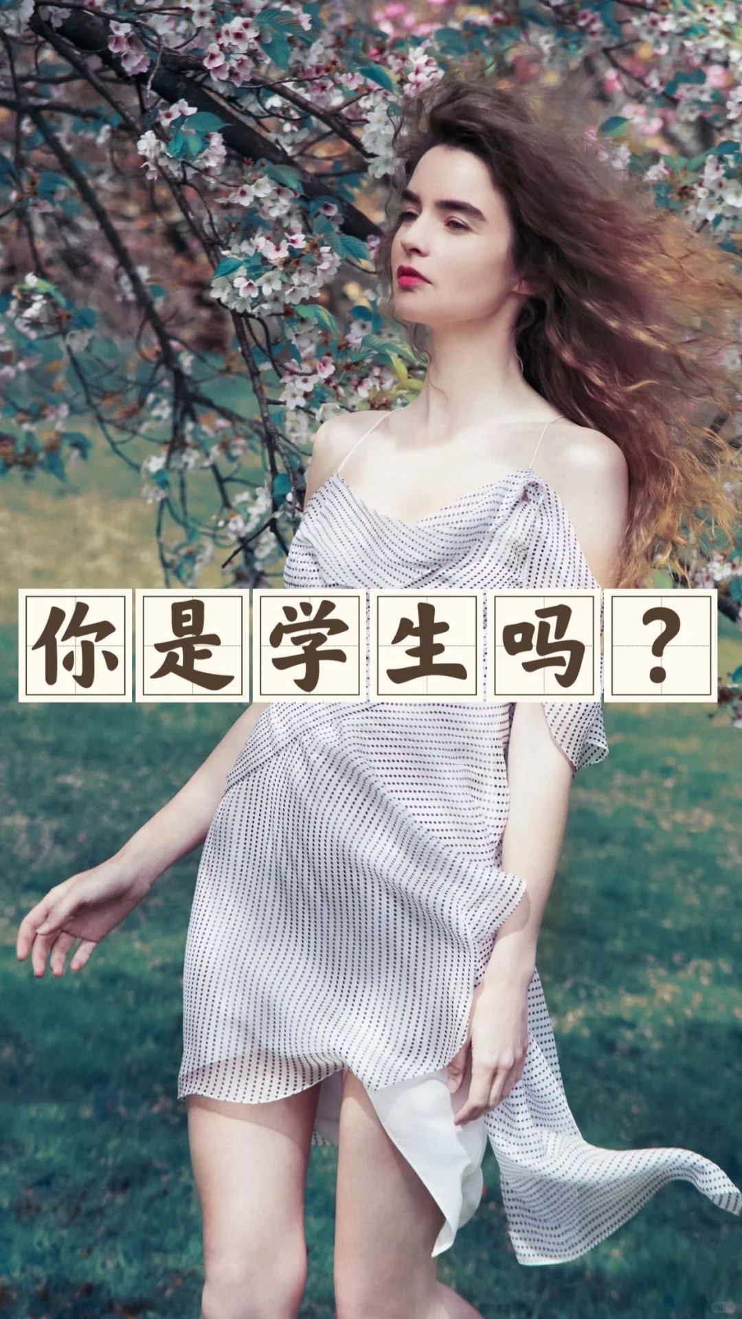 省钱经473:听好听的话并相信，免费精神美容