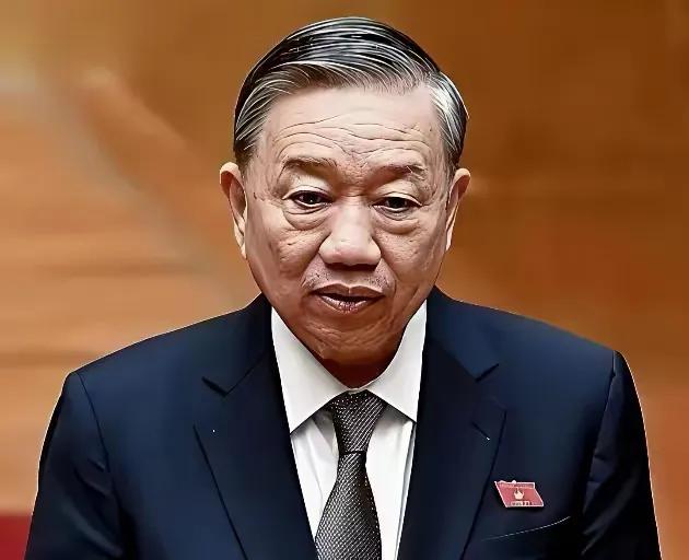 越南已经全方方面面、无死角地彻底慌了！
 
越南本来想拿南北高铁当诱饵，吊中日德