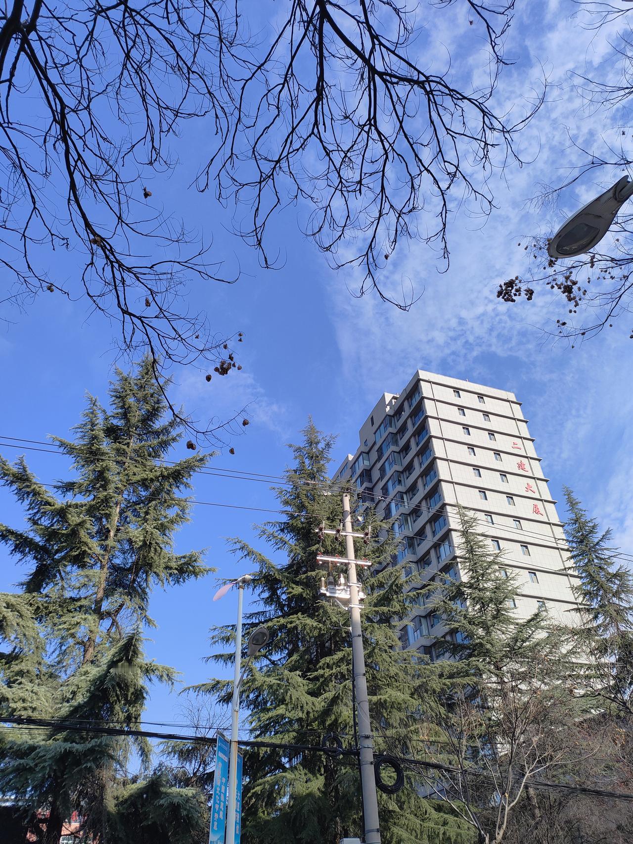 冬枝把蓝天织成疏朗的网，枯梢上坠着细碎的秋痕。风过处，枝桠轻晃，像在和晴朗的日子