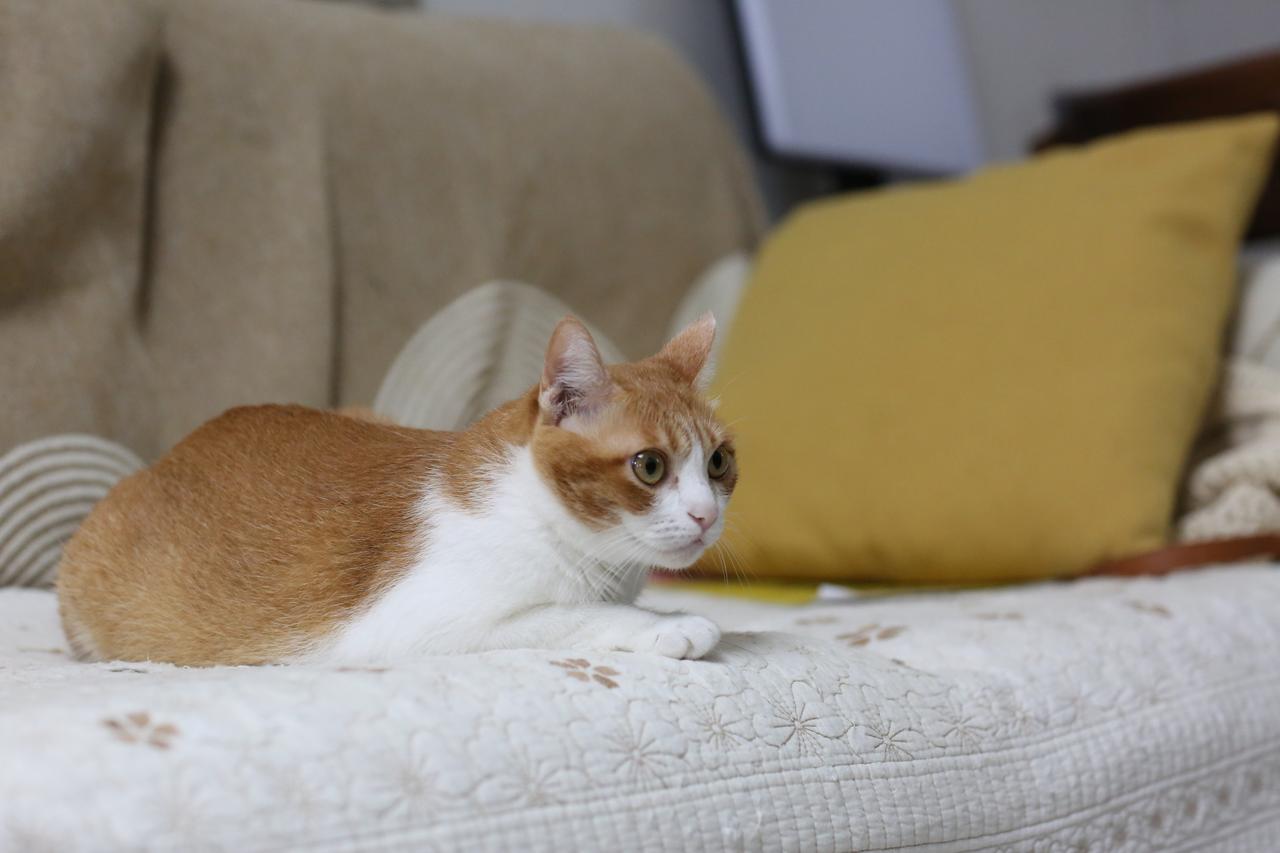 刷到彩万的最新视频，我愣了一下。
她已经拿下了英语翻译资格证。
还在继续学习普通