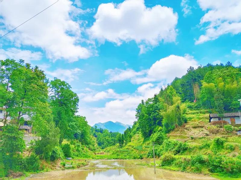 别犹豫
别焦虑
别被顾虑困住步履
迷了就找
倦了就靠
山再高，也别退逃
把烦恼抛