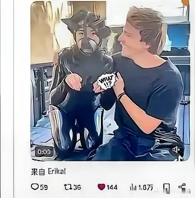 那些将自己的儿女送到美国的，不知道后没后悔。
牢A只是把太平洋那边的真相说了出来