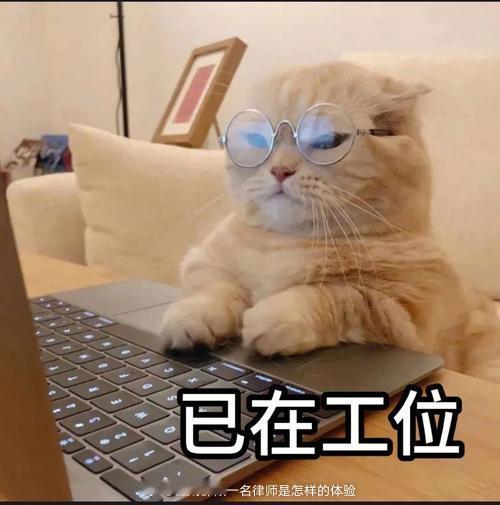 遇见一个关于生效判决执行的问题：A、B、C持有某公司的股权（分别为50%、30%