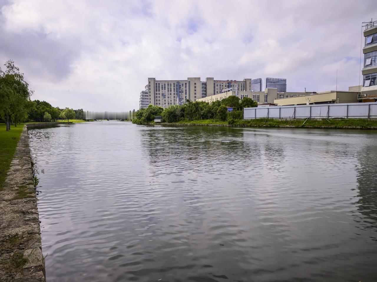 河水静静流淌，像一条银色的缎带铺展在晨光里。水面偶尔泛起细小的涟漪，是鱼儿轻轻吐