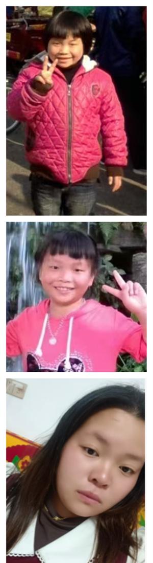 网页链接