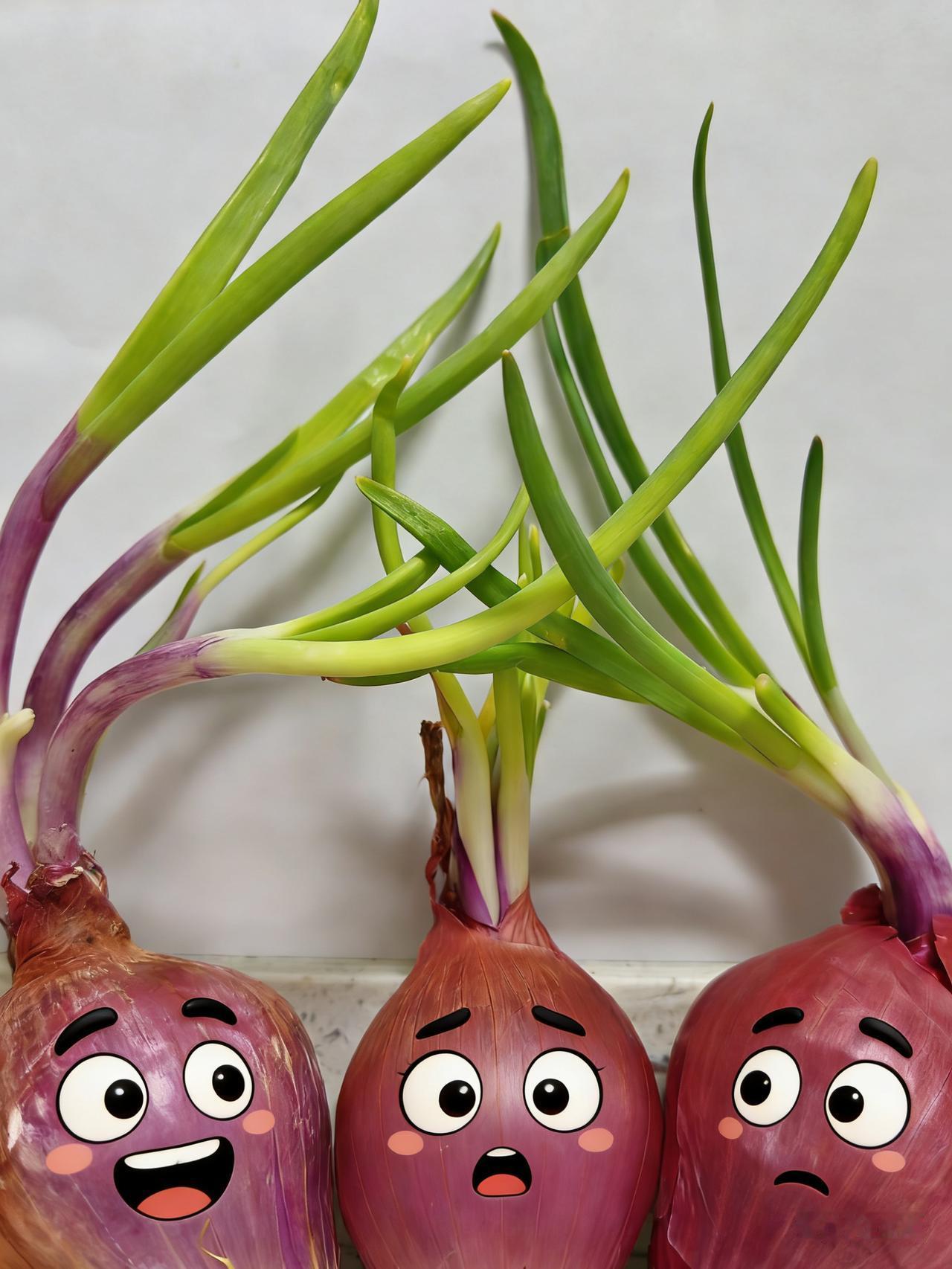 我家的洋葱[呲牙][呲牙][呲牙]
悄悄地，郁郁葱葱
配上表情，突然感觉到
原来