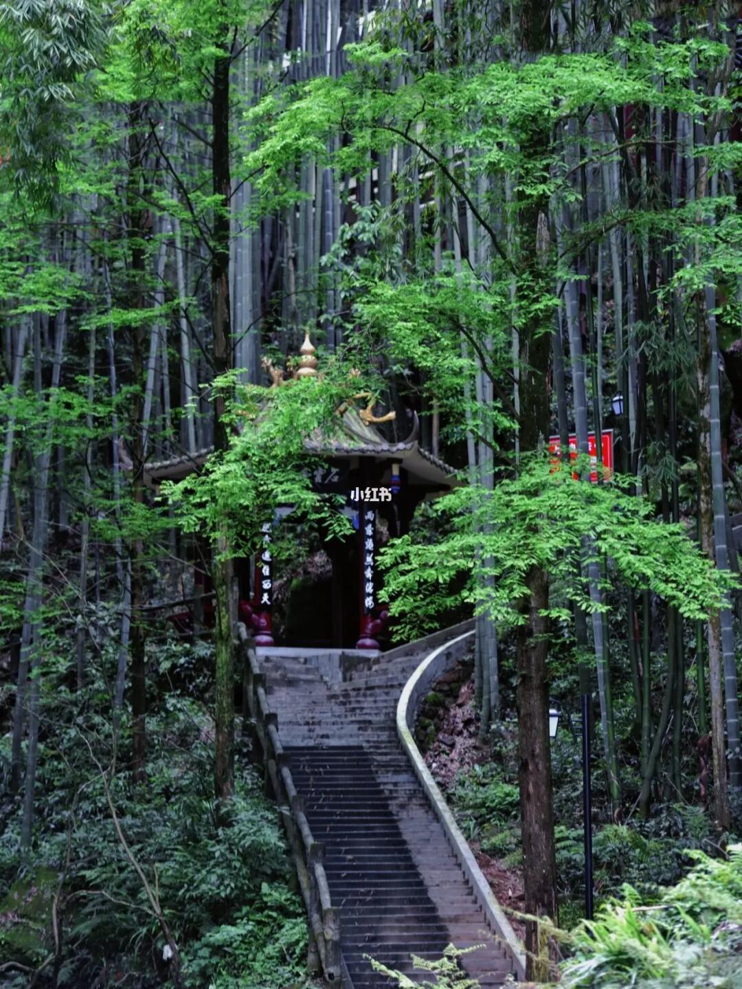 不出大成都的秘密角落，一起登山访千年古迹