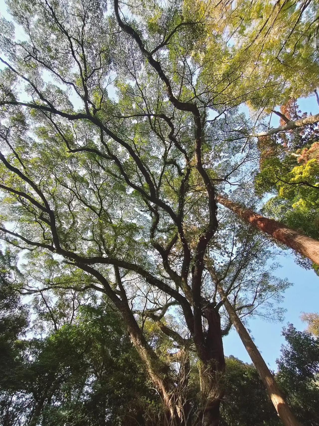 远离消耗你的人和事，多看一眼，都是你不对。

几句便宜话，一些小恩小惠，要来作甚