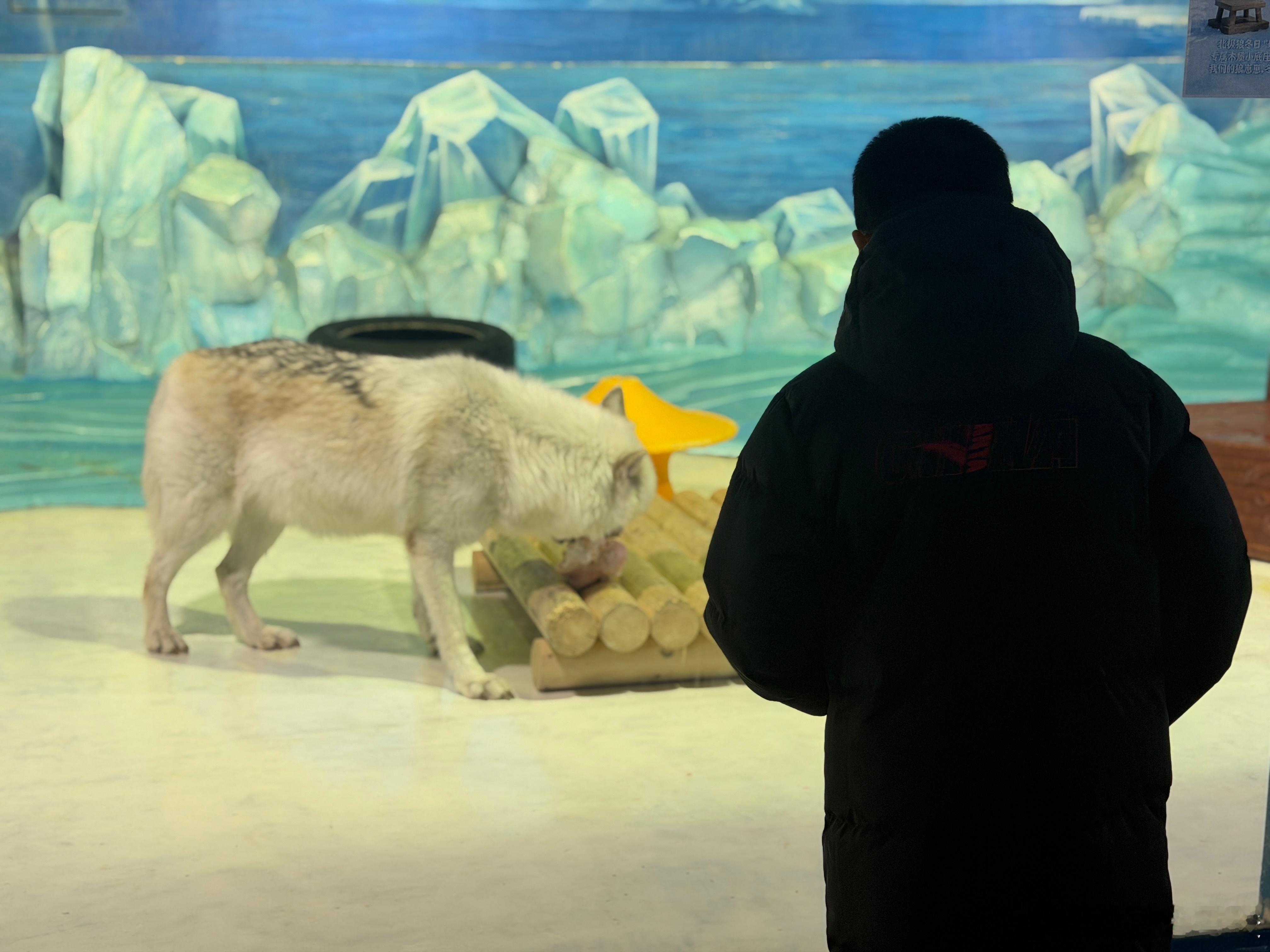 少虑、少怨、少悔。好梦~~~ 