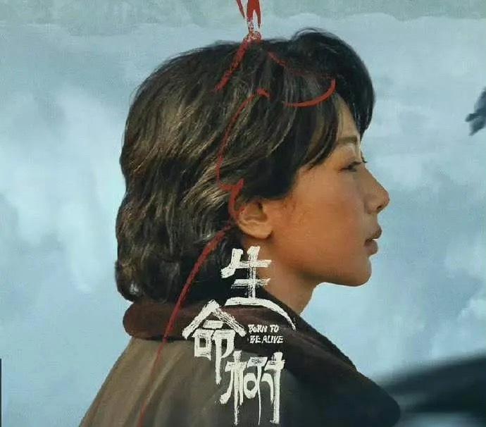 《生命树》定档了，我押热度破10000，然后热播期集均5000w+，cvb 2.