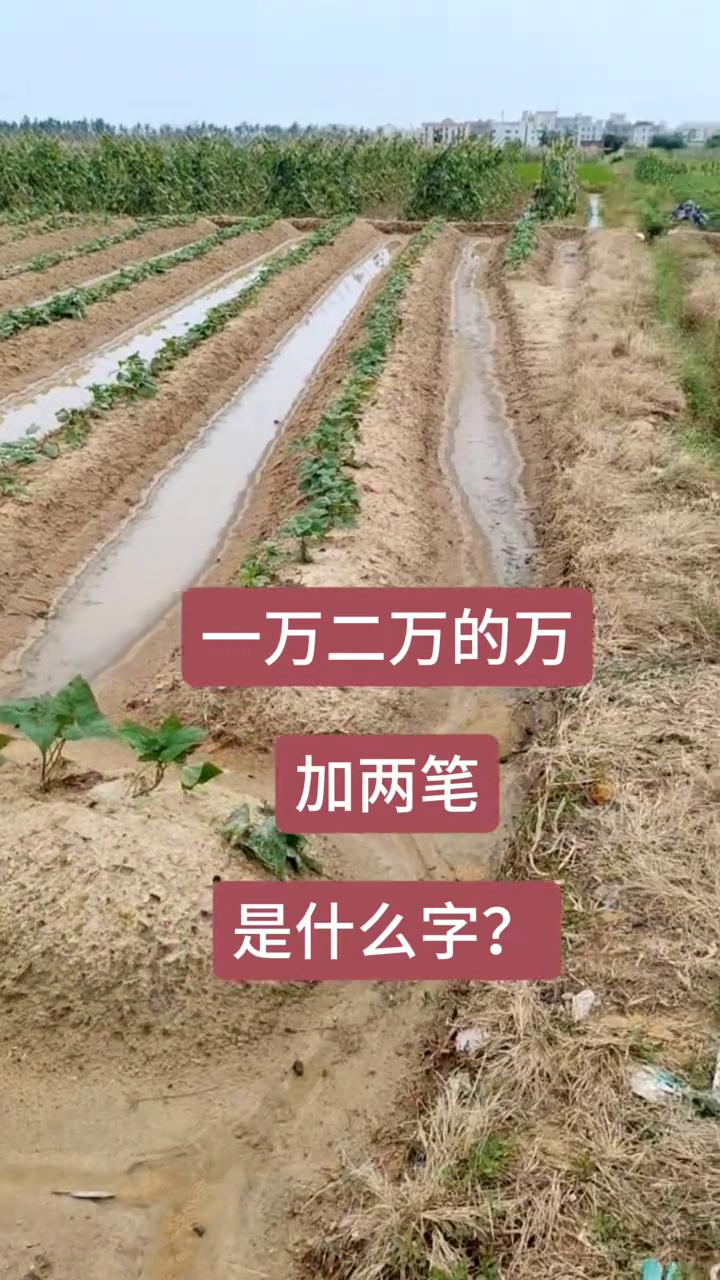 一万、两万的万加两笔是什么字？
一万、两万的万加两笔是方向的方，方向的方不对。