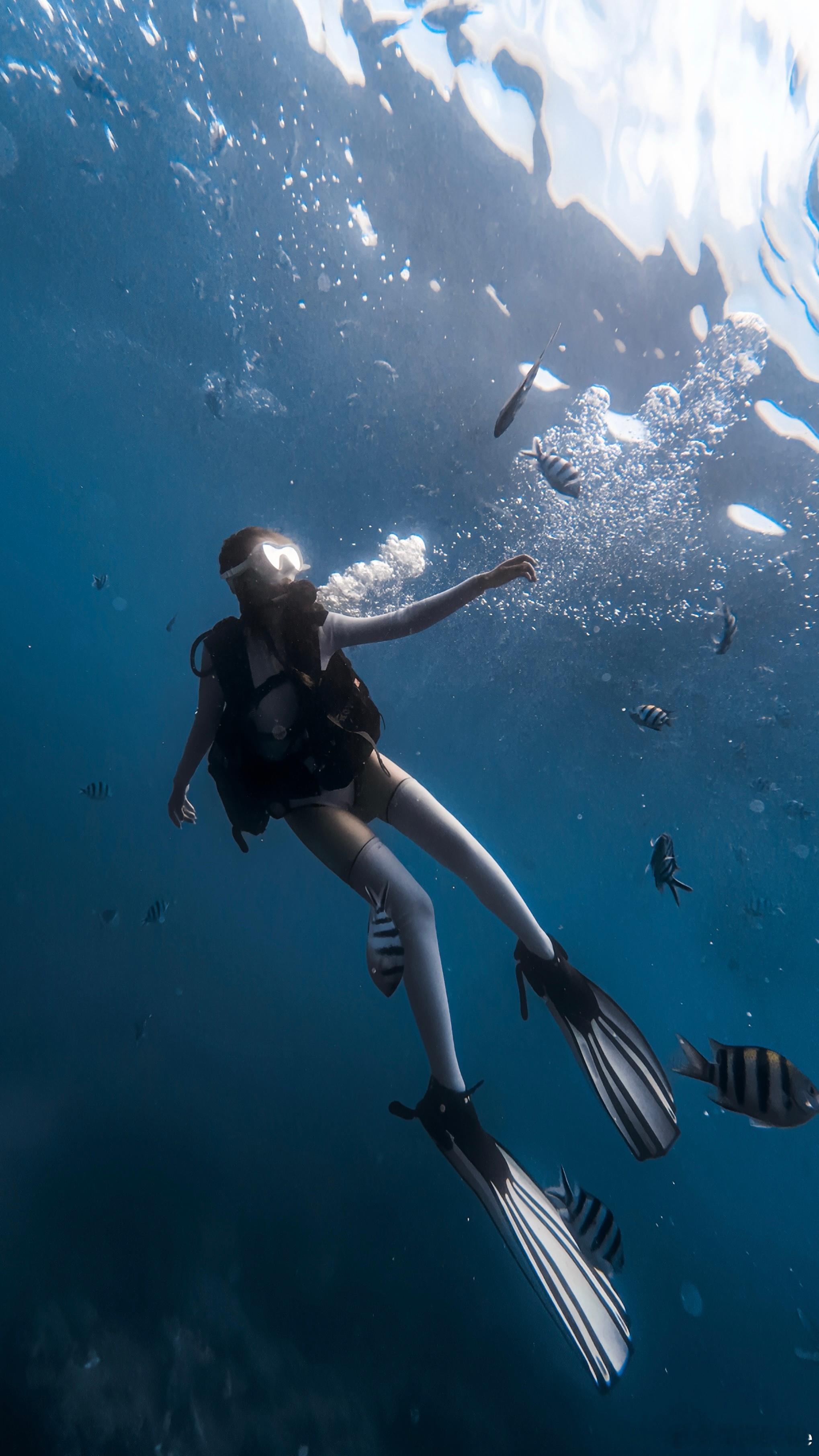 分享图片 ​​​