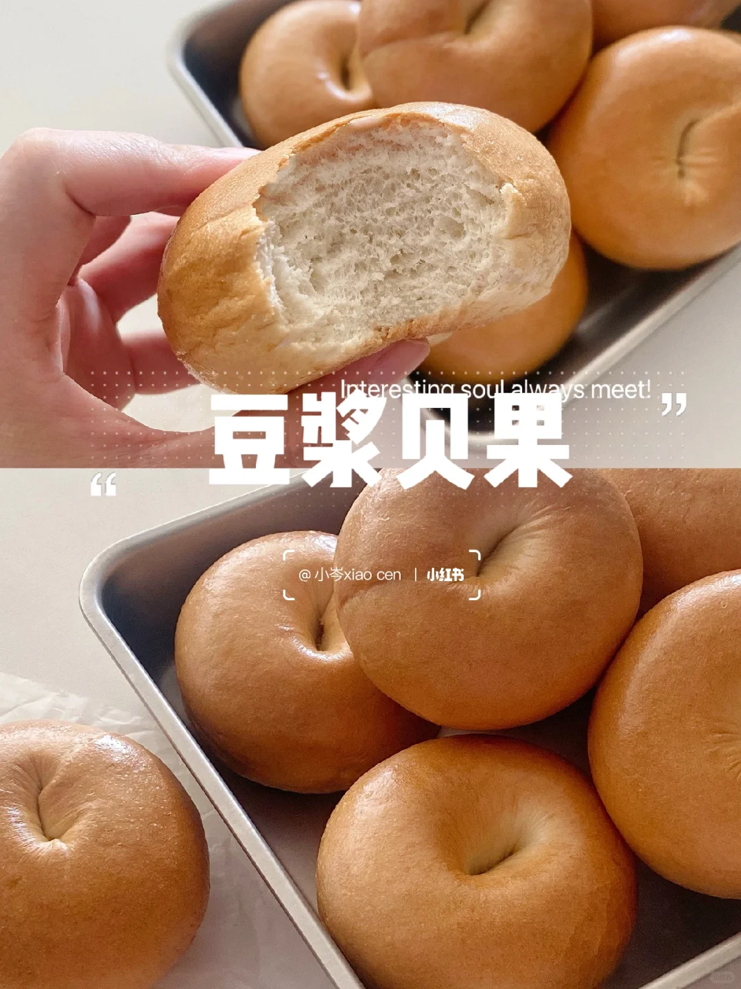 香浓豆浆贝果｜直接法 新手0失败