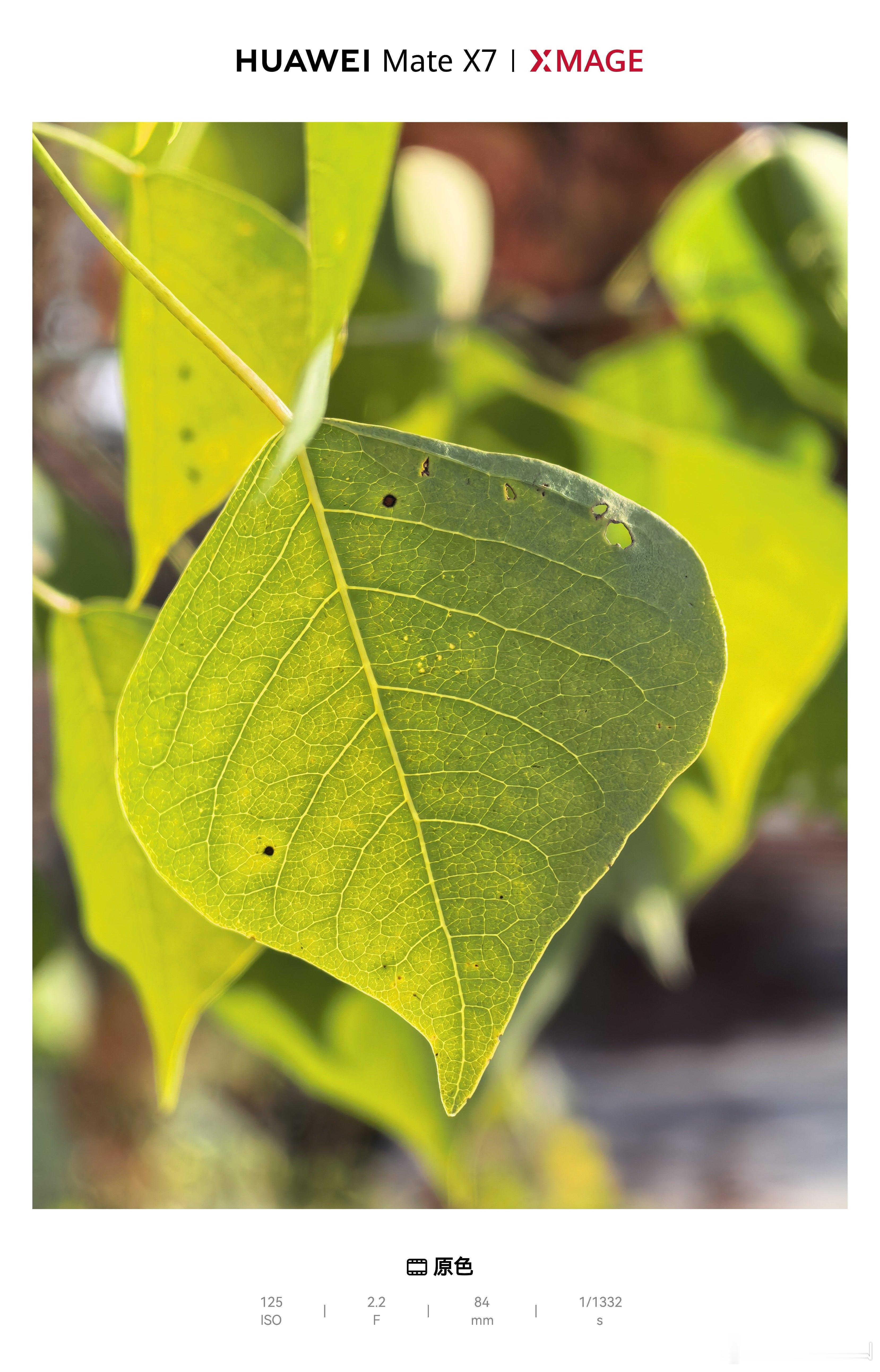 国家发文禁止亏本卖车 也不能亏本卖手机！合理的利润是良性发展的前提！ 