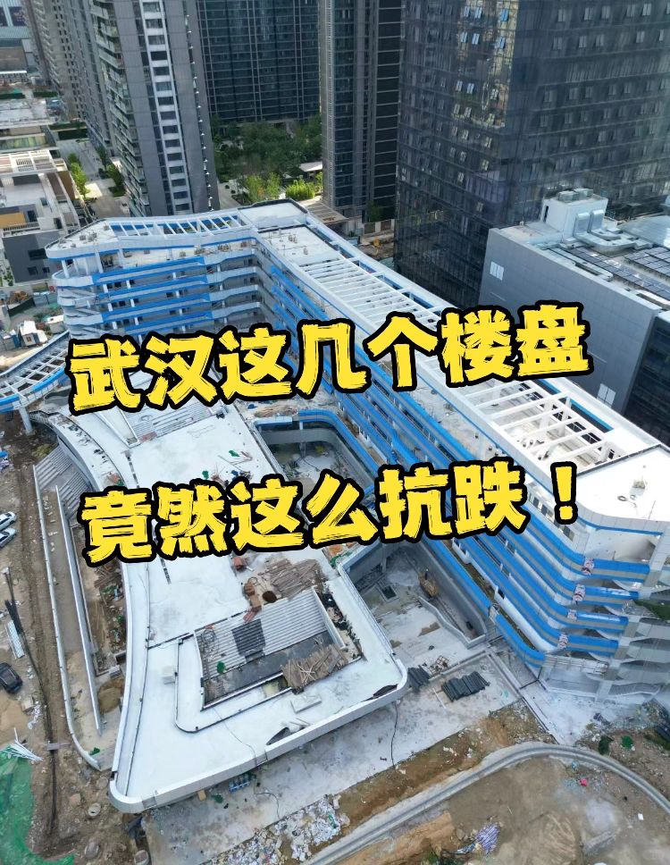 抗跌的5个楼盘，当下楼市竟然一直没降过价❗️