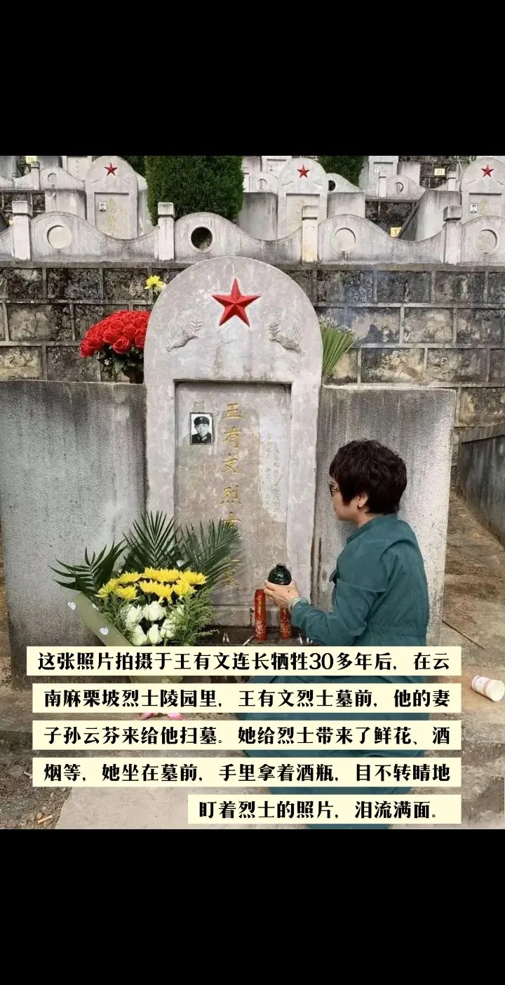 老山战役
