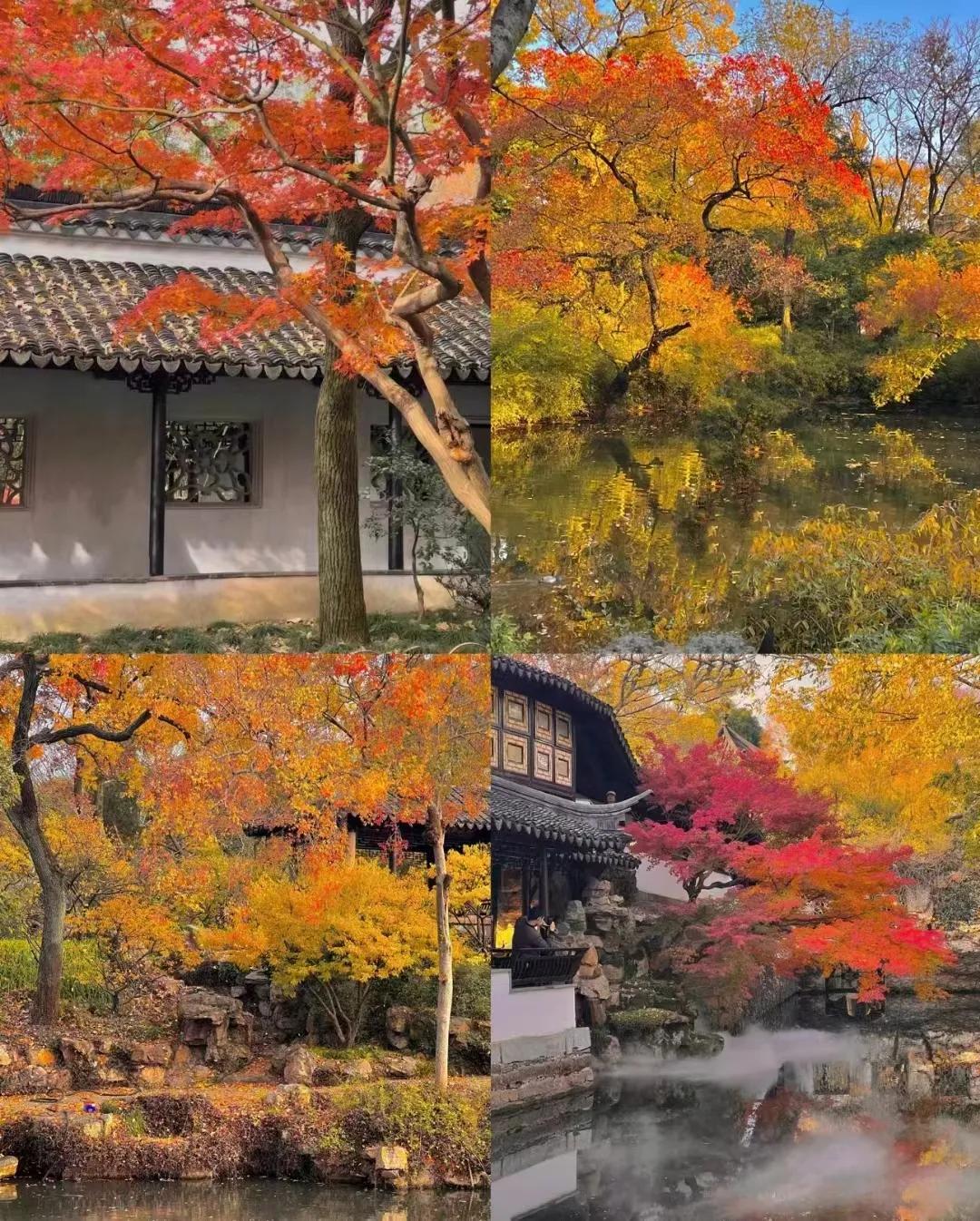 忙碌于日常，悠然于岁月，有快有慢，相得益彰。一段路程有一段的风景…早