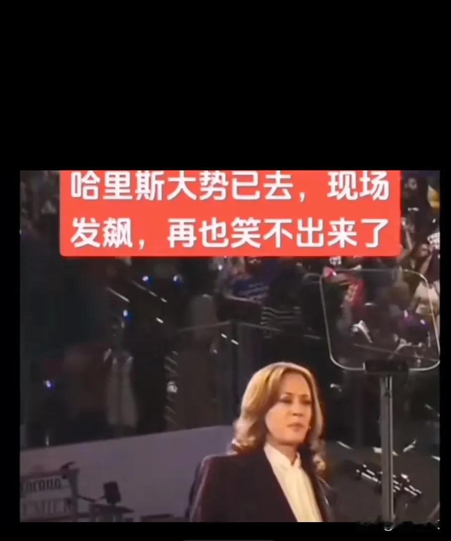 早就有人说过，哈里斯缺少“总统相”。根本没有当总统应该要有的气质！