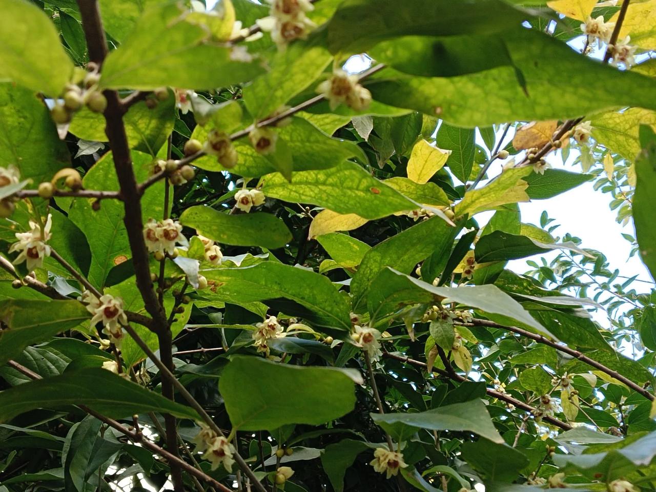 富深山有人知；

达隐茅舍名扬四海；

贵处市井与众不同；


富人的圈子，穷人