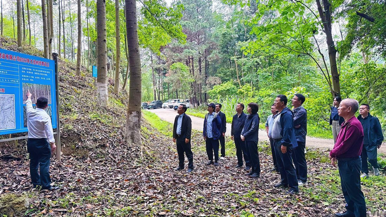 4月21日至25日，中国林业集团外部董事宫晓冰、孙力实、戴德明、黄旭丹一行赴广东