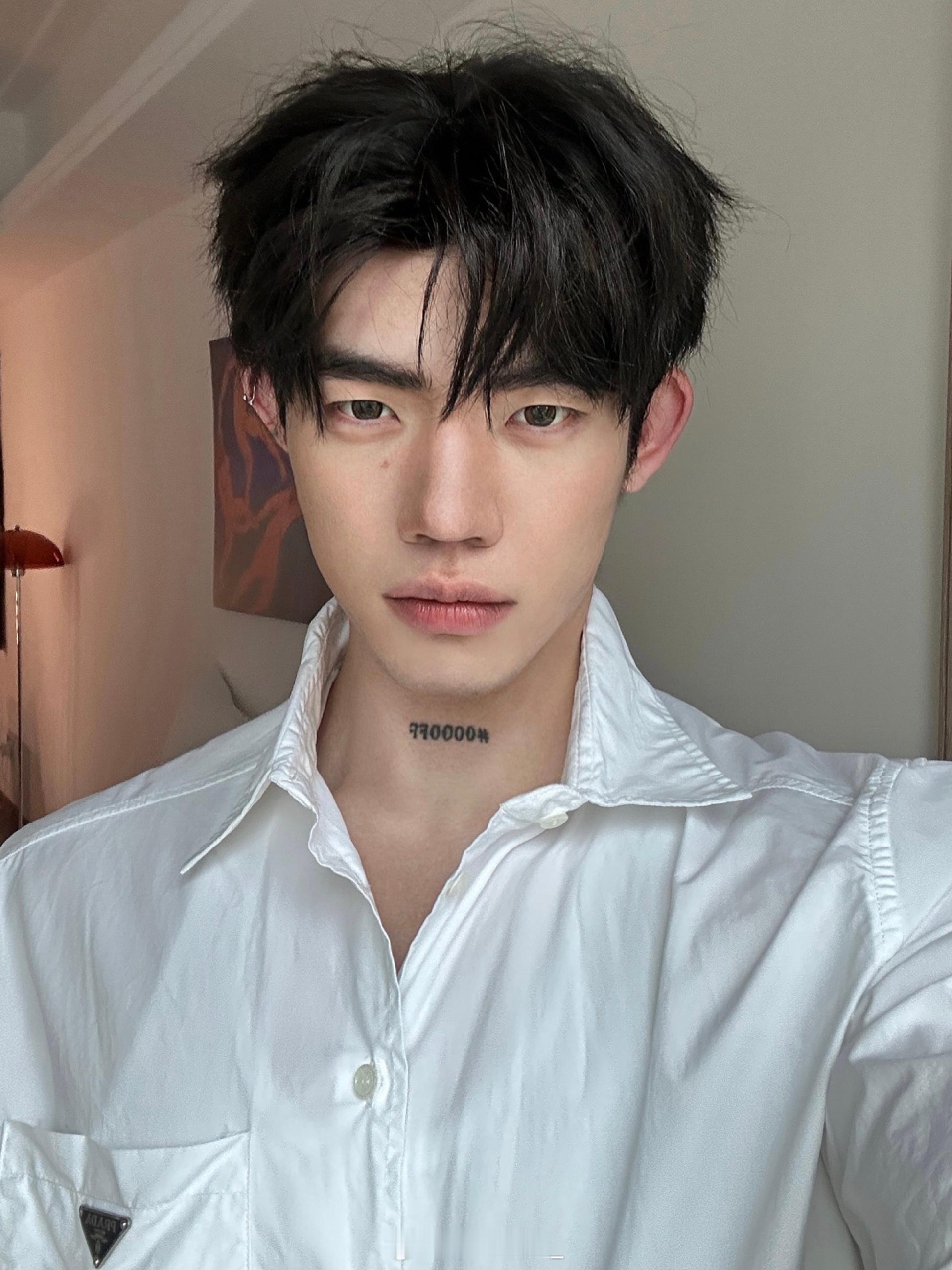 小白狼 