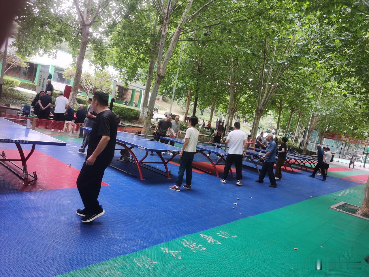 今年六十六岁的退休教师老刘，退休后格外痴迷打乒乓球，却因运动过量，最后连走路都变