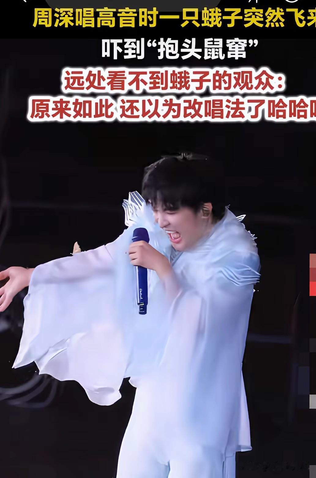 周深演唱会名场面来了！

正当他全力飙高音，整个人沉浸在演唱状态的时候，一只大蛾